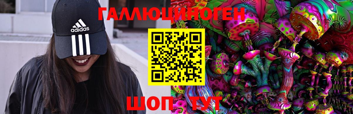 Псилоцибиновые грибы Psilocybine cubensis  сколько стоит  Вход с VPN  Орехово-Зуево  Псилоцибиновые грибы мухоморы 